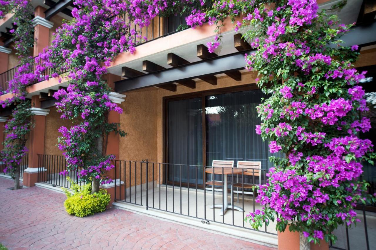 Hotel&spa Cuernavaca